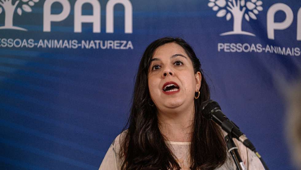 Ines Sousa Real, PAN