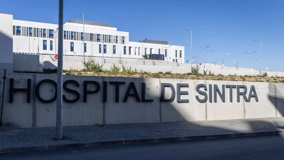 Na carta, os especialistas afirmam que esta é "a única forma de apelo" que lhes resta, após várias tentativas de diálogo formal e informal