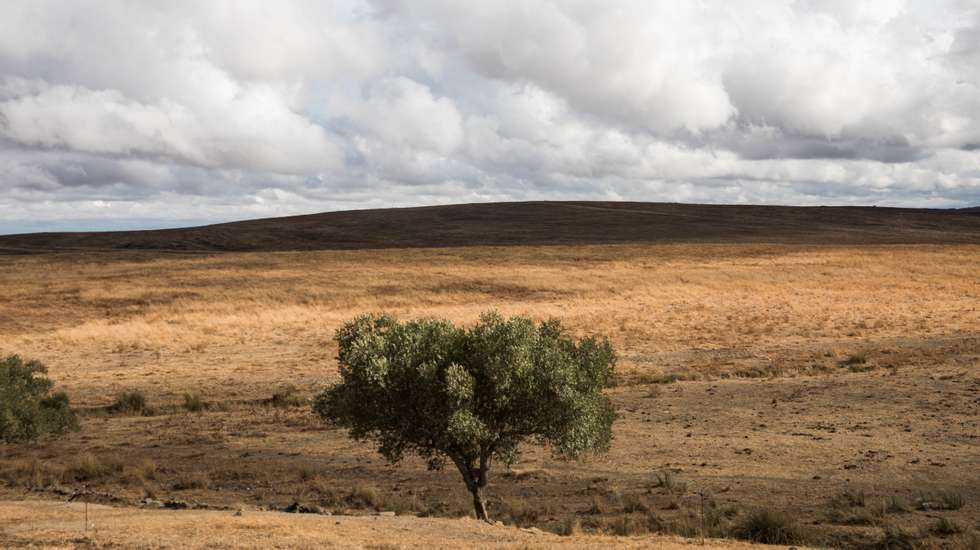 A Câmara de Castro Verde indicou que já implementou medidas para diminuir o consumo de água, como a redução do número de regas na generalidade dos espaços verdes e uma atitude mais vigilante no controlo de gastos exagerados