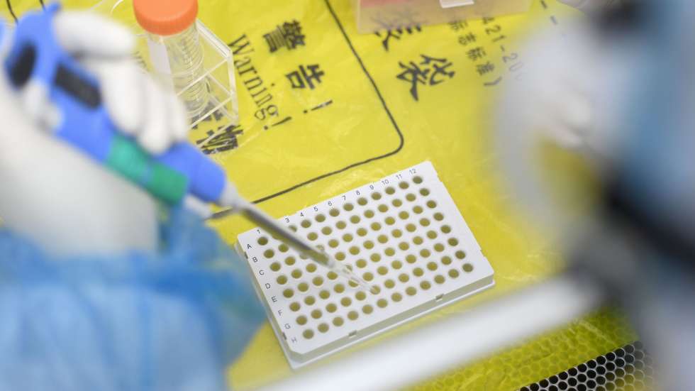 O primeiro infetado pode ter sido um funcionário do laboratório quando recolhia amostras no campo