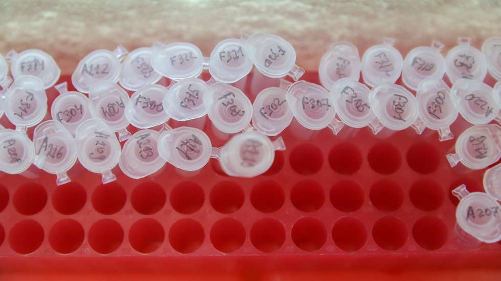Pelo menos 197 pessoas que podem ter tido contato com a técnica de laboratório foram colocadas em isolamento médico, incluindo mais de 100 em enfermarias hospitalares