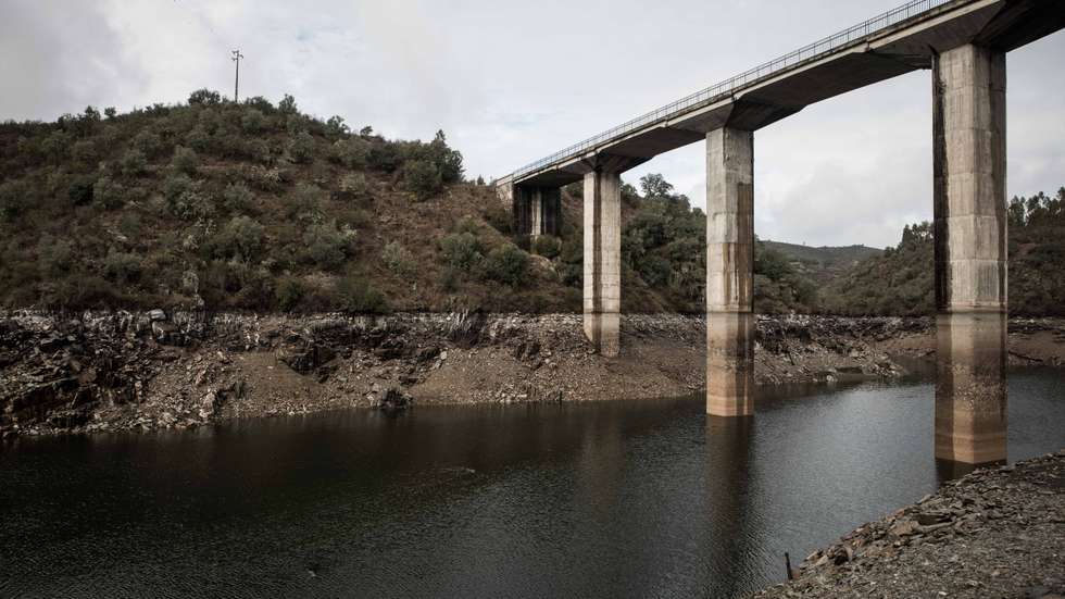 A ANP/WWF lamentou também novas captações por parte de Portugal e Espanha
