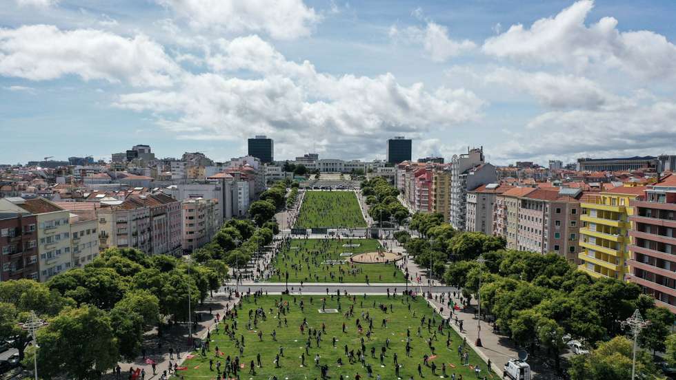Amostras recolhidas na torre de sul [departamento de química] e no edifício de matemática, no campus da Alameda