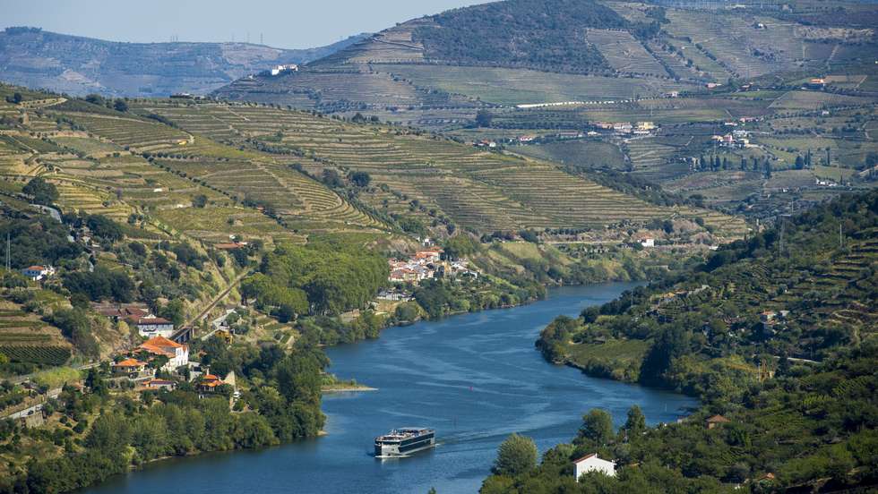 O ano passado provocou uma quebra na ordem dos 50 milhões de euros nas duas denominações de origem protegidas - Porto e Douro