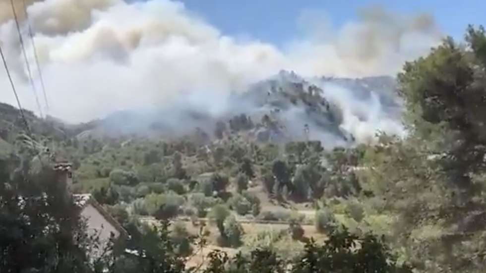 Ao todo, arderam 750 hectares