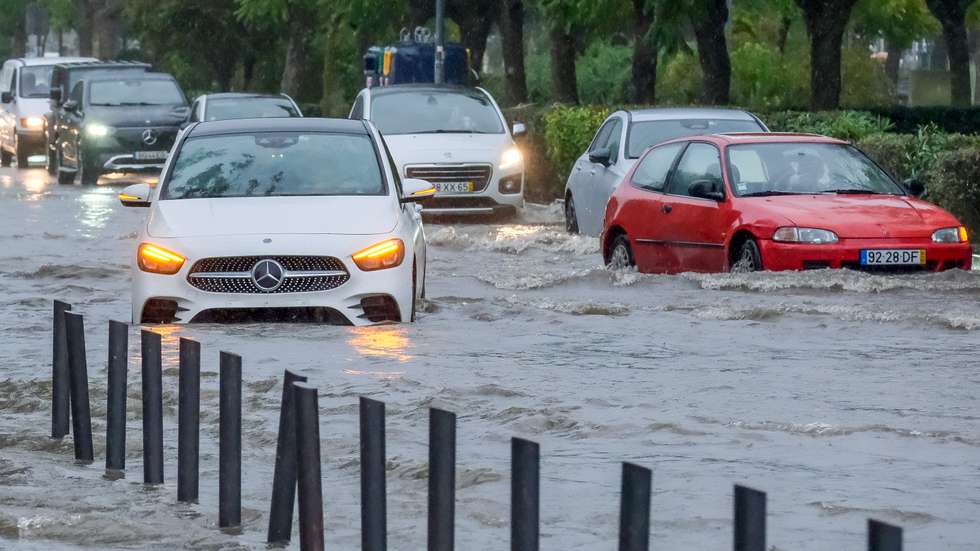 Todos os distritos de Portugal continental estão sob aviso amarelo por causa do vento forte