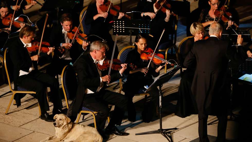 31st International Izmir Festival