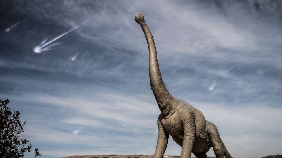 A queda de um asteroide na península do Iucatão (México), há 66 milhões de anos, terá desencadeado os eventos que levaram à extinção dos dinossauros e 75% das espécies no planeta