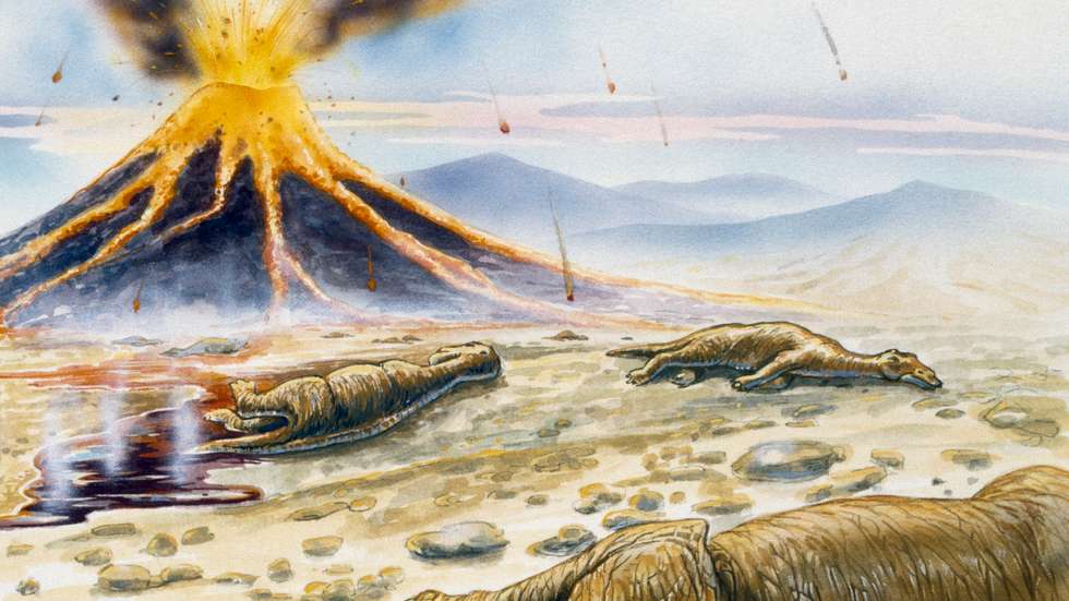 Maiasaura (Maiasaura peeblesorum)