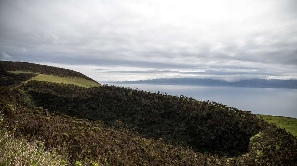 Atividade sísmica acima do normal na ilha de São Jorge, na região autónoma dos Açores, torna-se numa situação de crise sismo-vulcânica. O Observador acompanhou durante uma tarde, uma das três equipas da CIVISA (Centro de Informação e Vigilância Sismo-vulcânica dos Açores) que estão espalhadas por toda ilha de São Jorge. À cerca de 11 dias, que diariamente estas equipas deslocam-se para o terreno, para fazerem as medições necessárias para perceber se, de dia para dia, tem havido uma eventual subida de magma e gases à superfície da terra. 20 de Março de 2022 São Jorge, Arquipélago dos Açores TOMÁS SILVA/OBSERVADOR
