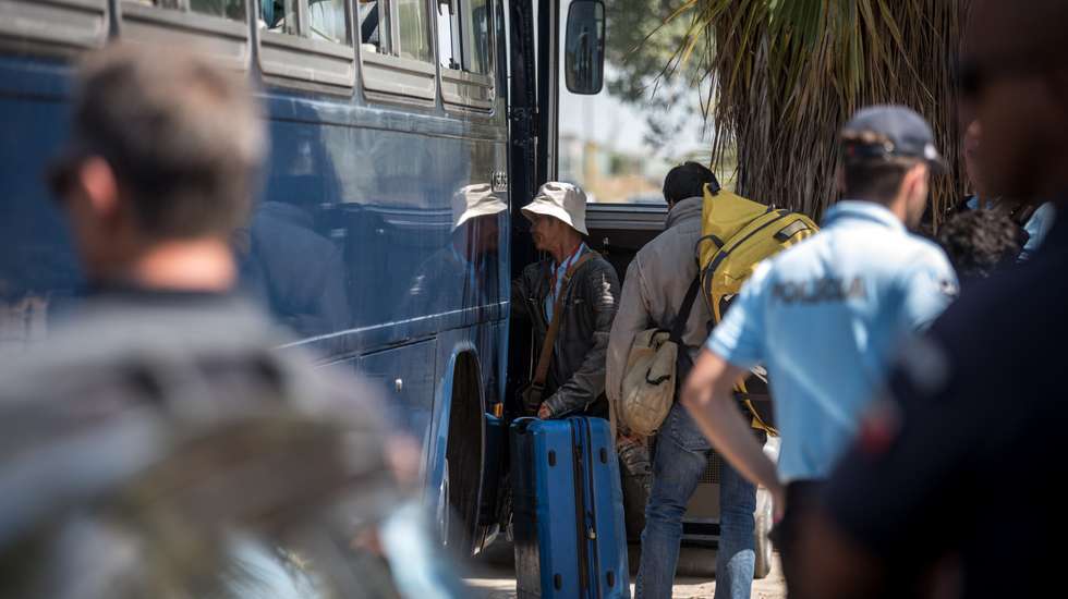 Quase 800 pedidos de ajuda de imigrantes em Portugal para regressarem aos seus países, diz OIM