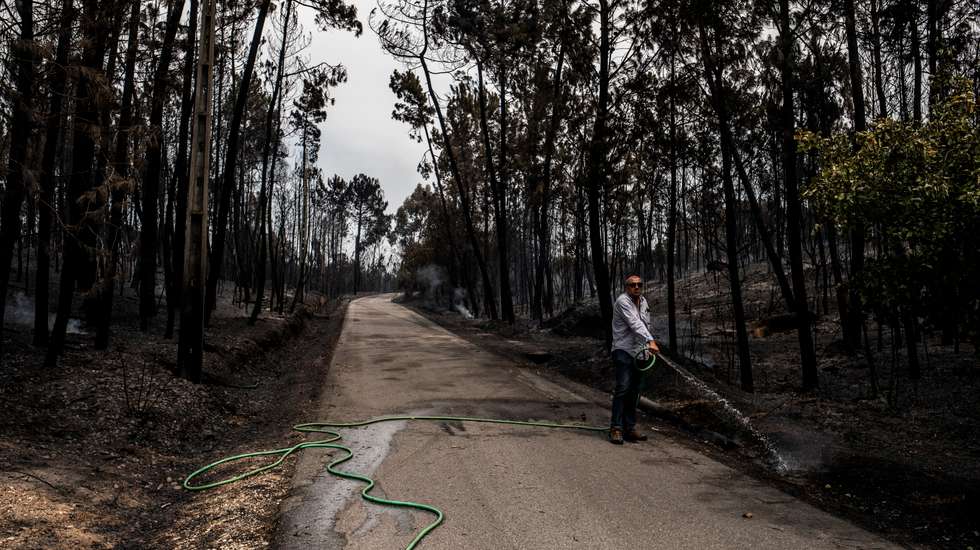 Vários concelhos do interior norte e centro e Algarve estão também em perigo muito elevado de incêndio rural, de acordo com o IPMA