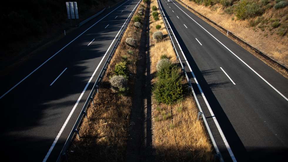 A vítima estava a sair do separador central da autoestrada quando foi colhida pelo carro onde seguia Cabrita, que circularia a 163 km/h