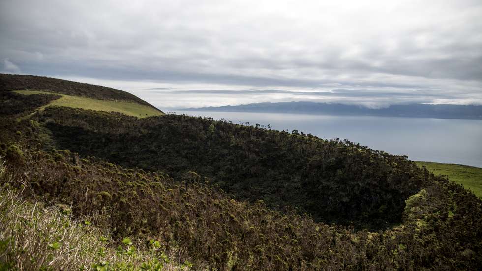 Atividade sísmica acima do normal na ilha de São Jorge, na região autónoma dos Açores, torna-se numa situação de crise sismo-vulcânica. O Observador acompanhou durante uma tarde, uma das três equipas da CIVISA (Centro de Informação e Vigilância Sismo-vulcânica dos Açores) que estão espalhadas por toda ilha de São Jorge. À cerca de 11 dias, que diariamente estas equipas deslocam-se para o terreno, para fazerem as medições necessárias para perceber se, de dia para dia, tem havido uma eventual subida de magma e gases à superfície da terra. 20 de Março de 2022 São Jorge, Arquipélago dos Açores TOMÁS SILVA/OBSERVADOR