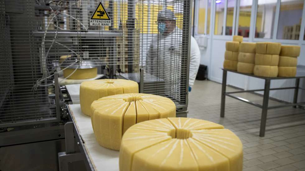Crise sismo-vulcânica afasta 15% dos trabalhadores da fábrica de queijos de São Jorge, nos Açores. Apesar da falta de trabalhadores, a maior preocupação é a falta de leite e a crise económica. 31 de Março de 2022 São Jorge, Arquipélago dos Açores TOMÁS SILVA/OBSERVADOR