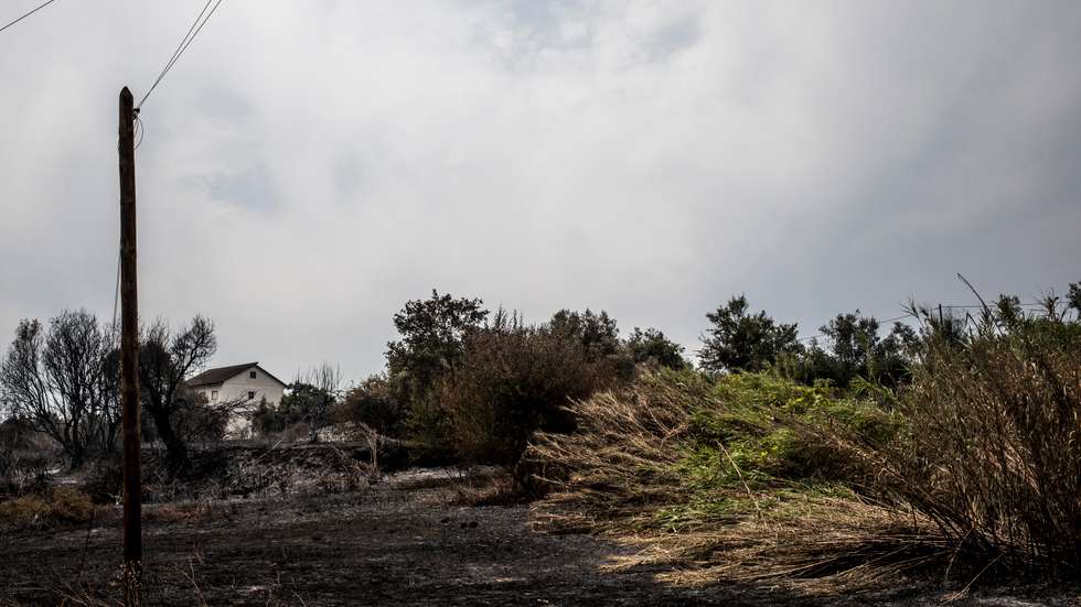 Estes drones das Forças Armadas foram adquiridos em 2020 para reforçar a prevenção a incêndios