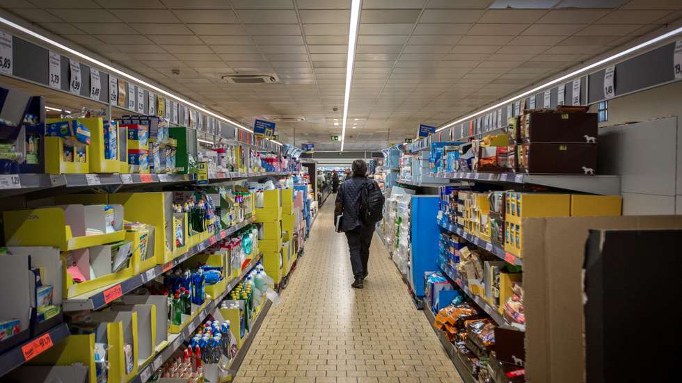 O Observador acompanhou uma equipa da ASAE, numa operação de fiscalização no Lidl de Alvalade, em Lisboa. 9 de Março de 2023 Alvalade, Lisboa TOMÁS SILVA/OBSERVADOR
