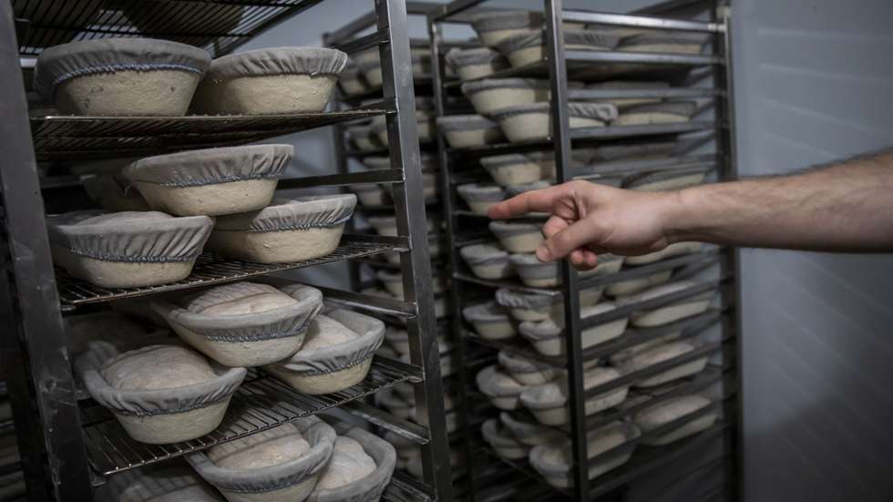 Padaria e pastelaria O Beco, em Lisboa, onde todos os produtos são confessionados com o processo de fermentação lenta, utilizando a massa mãe como base. 18 de Maio de 2023 Padaria O Beco, Lisboa TOMÁS SILVA/OBSERVADOR