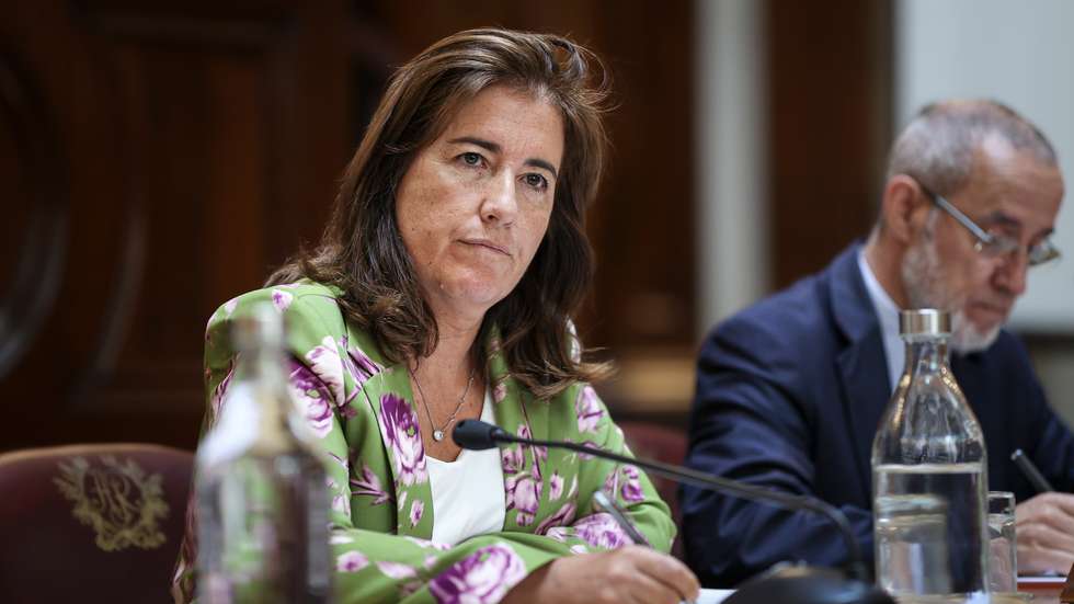 A ministra justificou com a necessidade de combate aos falsos recibos verdes