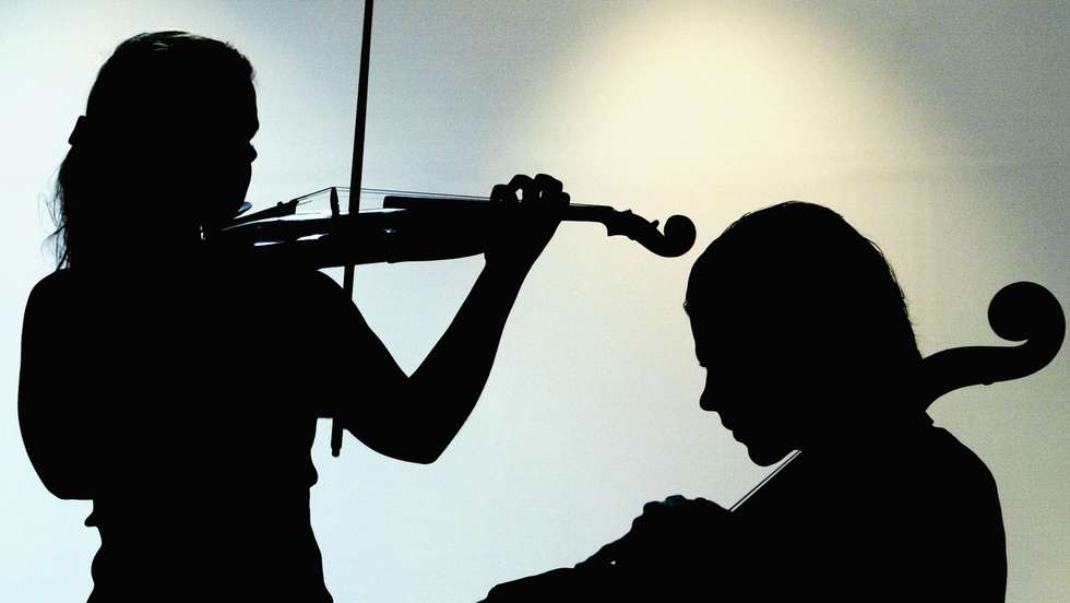 Rare Ex-Nachez Violin Offered For Sale