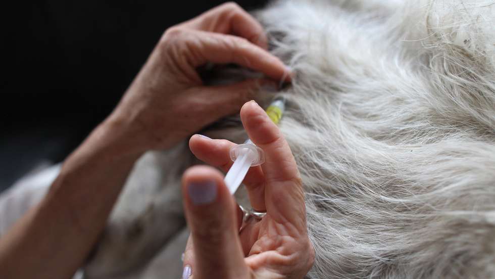 A droga é utilizada para eutanasiar animais e, em alguns países, na prática do suicídio assistido