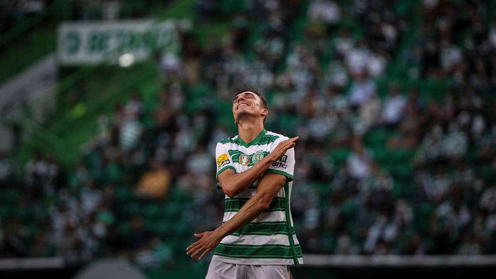 Palhinha teve duas grandes temporadas em Braga, voltou a Alvalade para mais duas grandes temporadas e vai agora seguir para a Premier League