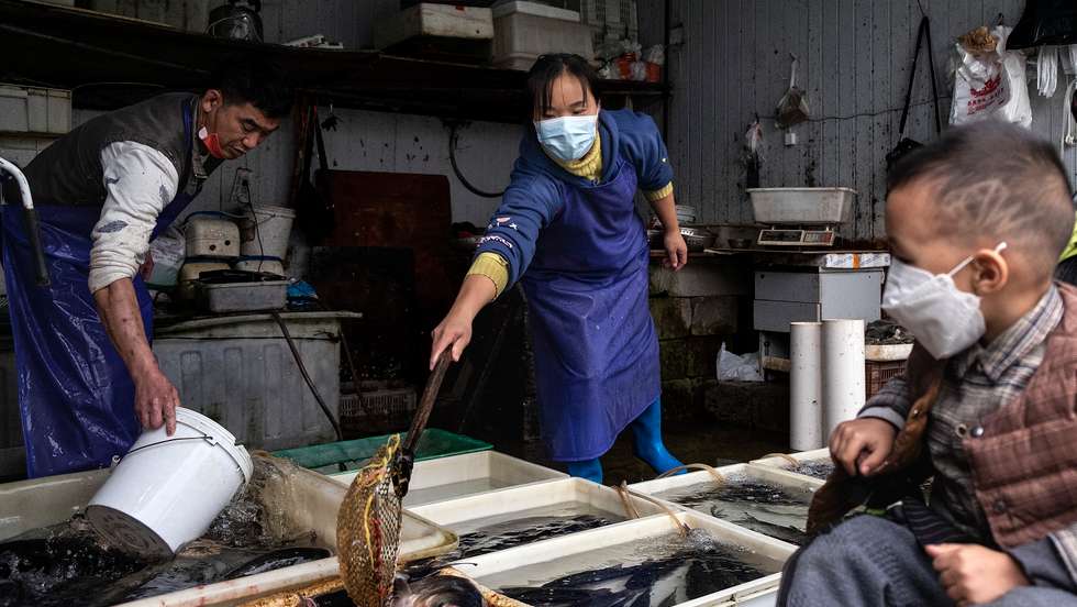 Os primeiros casos de Covid-19 estão associados ao mercado em Wuhan, na China