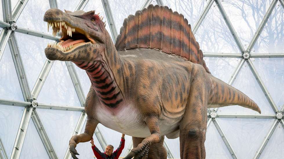 Season Opening of Dinosaur Park in Kleinwelka