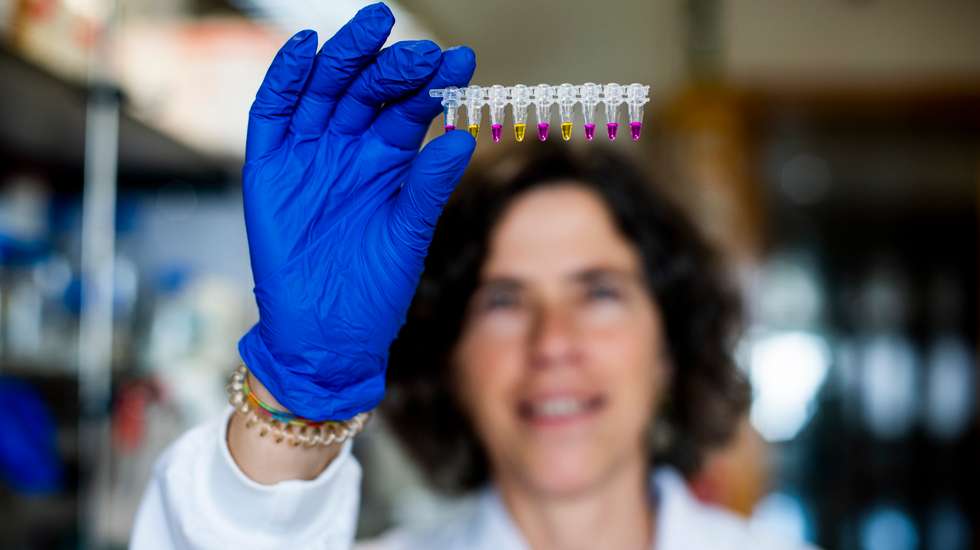 Licenciada em Biologia pela Faculdade de Ciência da Universidade de Lisboa e especializada em Biologia Microbiana e Genética, Mónica Serrano doutorou-se no ITQB, onde hoje é investigadora