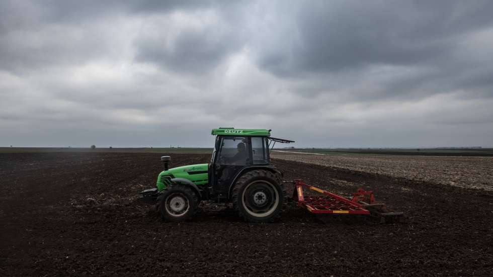 Russian Invasion Of Ukraine Hits Global Wheat Supply