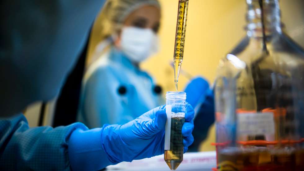 A biofarmacêutica portuguesa está a tentar desenvolver uma tratamento para a Covid a partir de moléculas que impedem o vírus de infetar uma célula