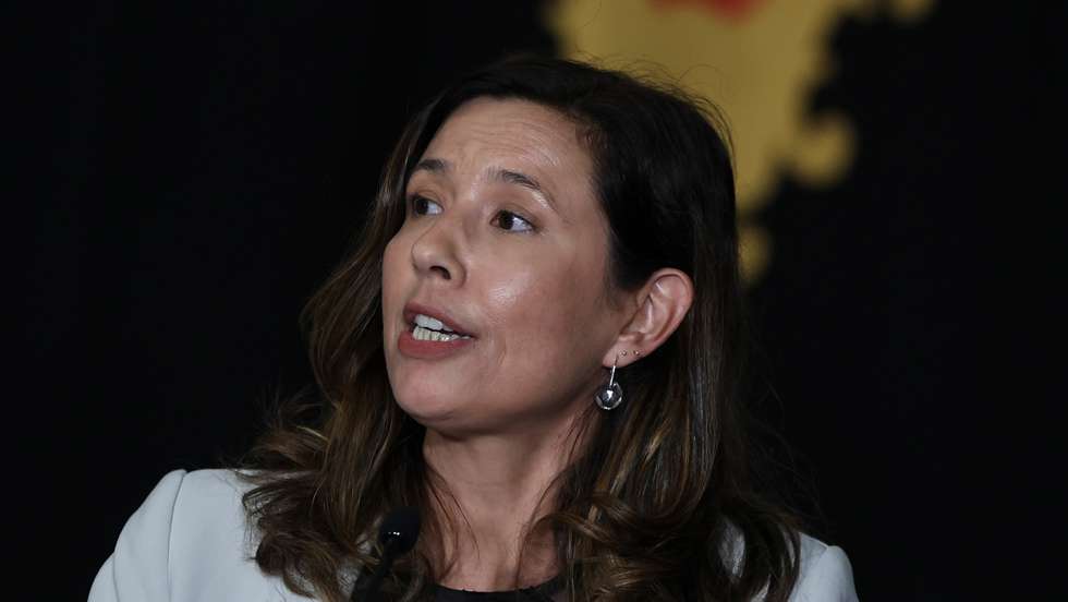 "Relatório preliminar que não permite tirar grandes conclusões", disse Mariana Leitão