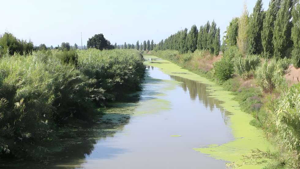 Rio Lis, Leiria