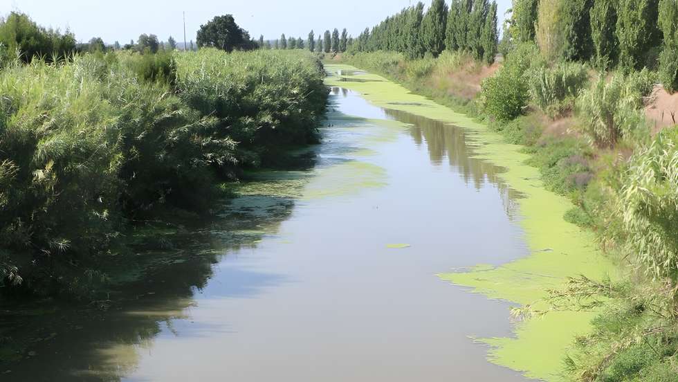 Rio Lis, Leiria