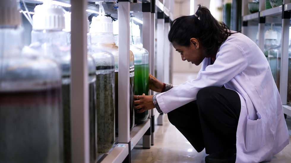 Centro Interdisciplinar de Investigação Marinha e Ambiental