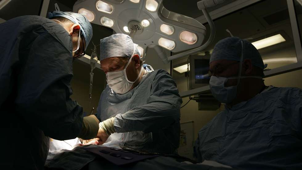 Transplante