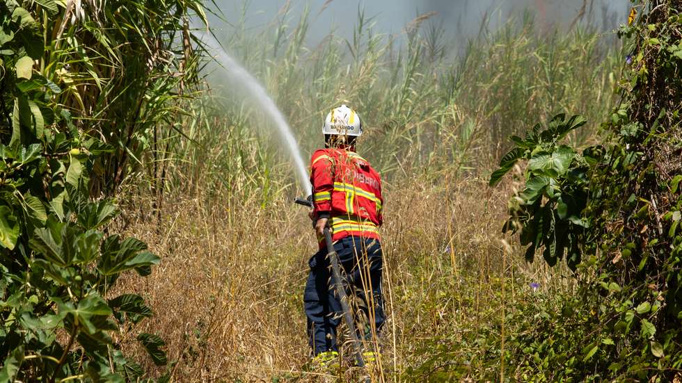 Menos de 1% dos incêndios deste ano causaram 81% da área ardida revelou o Instituto da Conservação da Natureza e das Florestas