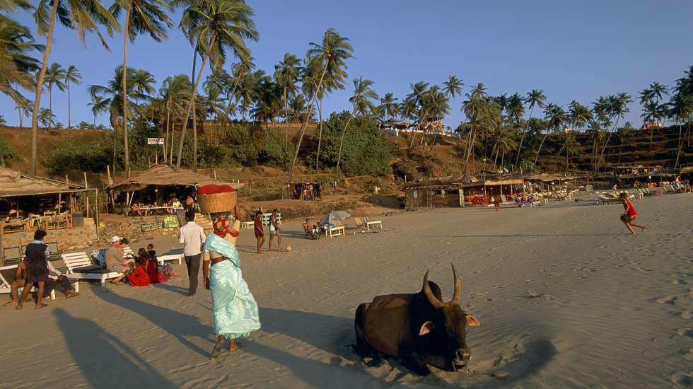 Goa