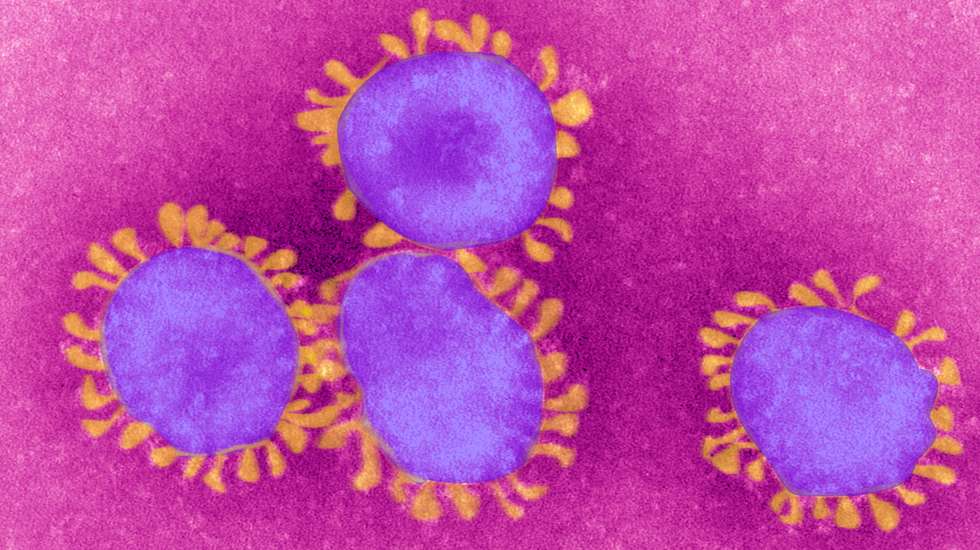 Coronavirus, Tem