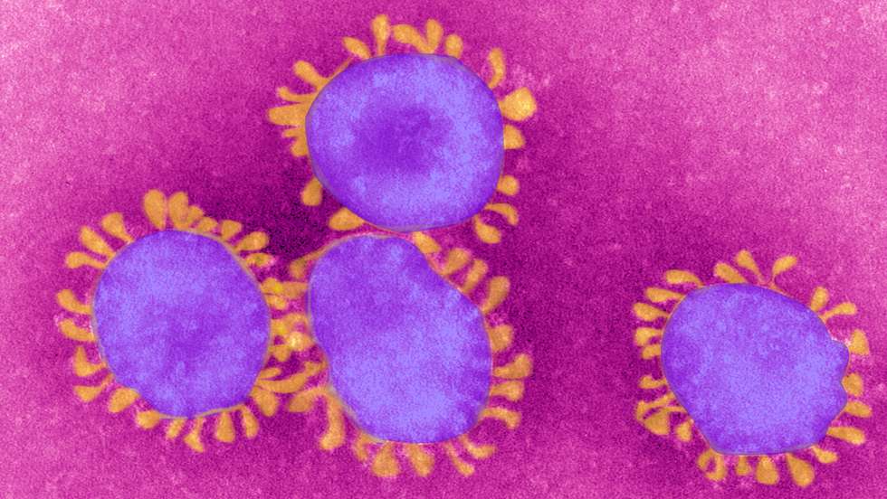 Coronavirus, Tem
