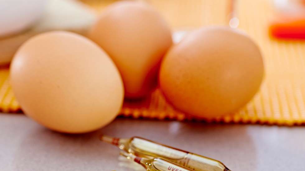 Vitamin d