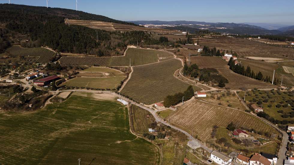 "Estas medidas visam não só prevenir os crimes, como também garantir a responsabilização dos autores e a proteção efetiva das propriedades agrícolas", acrescenta o Chega em comunicado