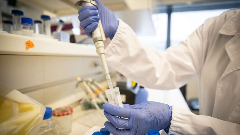 Ricardo Araújo pretende estudar a origem evolutiva da endotermia, enquanto o projeto de Galego é no âmbito da neurociência
