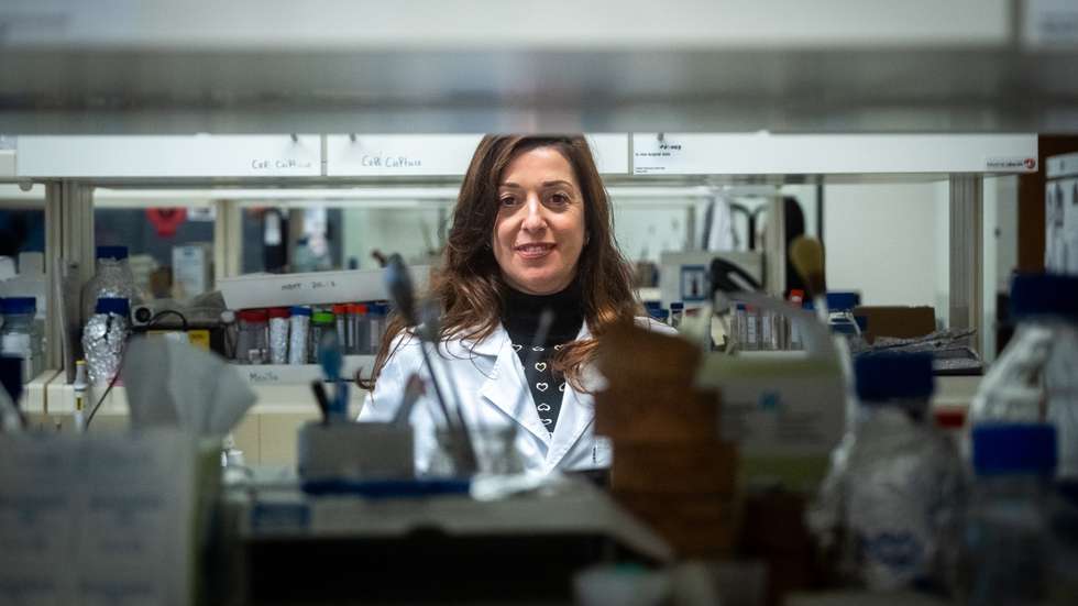 Quando concluiu a licenciatura, Victoria Leiro foi a melhor aluna do curso de Química da Universidade de Santiago de Compostela (e da Galiza). Com um mestrado e um doutoramento em Química Orgânica, tem dois pós-doutoramentos, o mais recente pelo Instituto de Engenharia Biomédica, agora inserido no i3S, no Porto