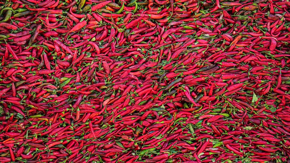Pimenta