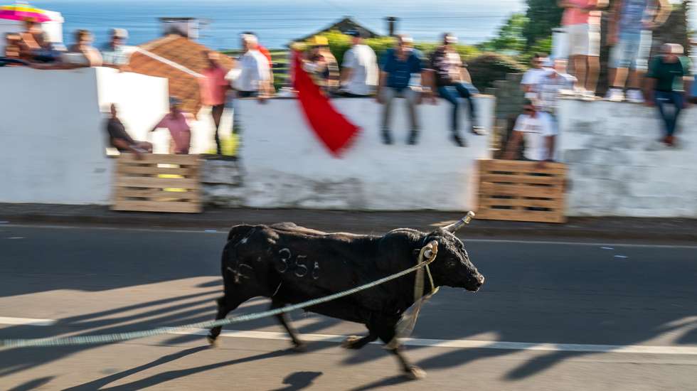 GettyImages-1553709439
