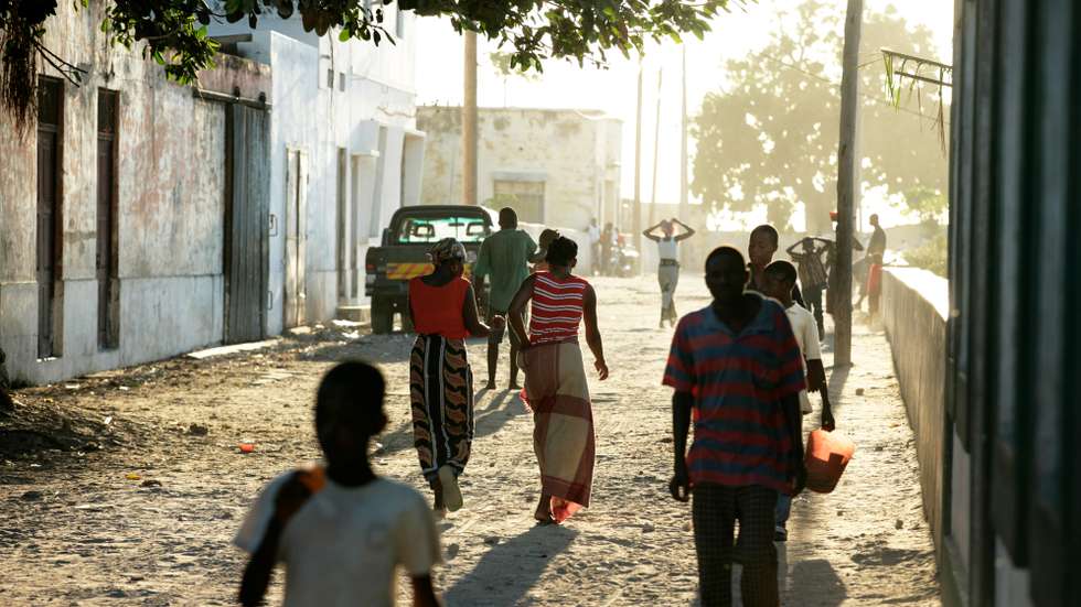 Tree lined streets of Ilha De Mozambique