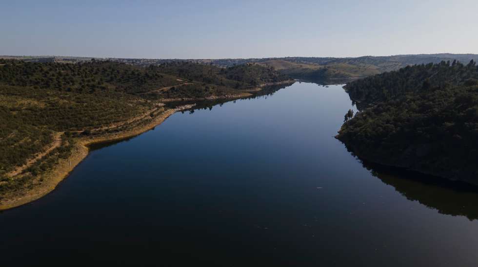 Reportagem sobre a influência da Barragem do Alqueva na agricultura do Alentejo. Reportagem sobre um olival de produção intensiva perto da Beja. Alqueva, Beja, 10 de fevereiro de 2022. JOÃO PORFÍRIO/OBSERVADOR
