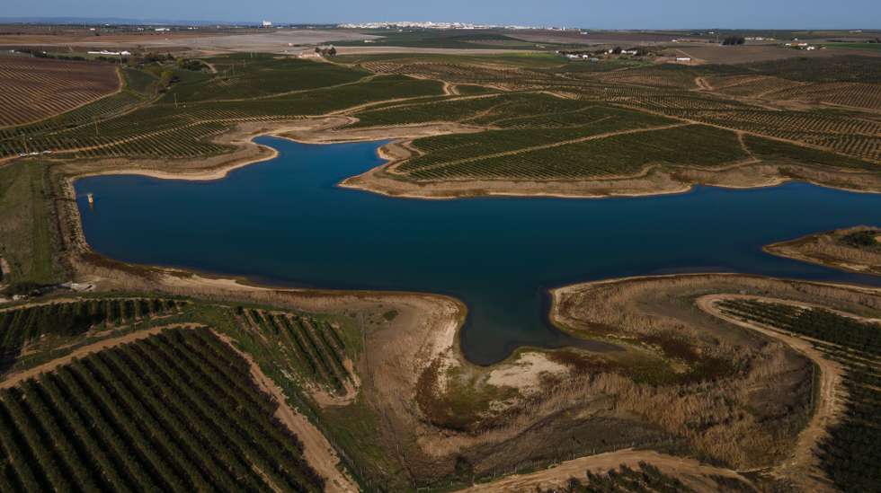 Reportagem sobre a influência da Barragem do Alqueva na agricultura do Alentejo. Reportagem sobre um olival de produção intensiva perto da Beja. Alqueva, Beja, 10 de fevereiro de 2022. JOÃO PORFÍRIO/OBSERVADOR