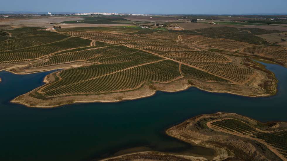Reportagem sobre a influência da Barragem do Alqueva na agricultura do Alentejo. Reportagem sobre um olival de produção intensiva perto da Beja. Alqueva, Beja, 10 de fevereiro de 2022. JOÃO PORFÍRIO/OBSERVADOR
